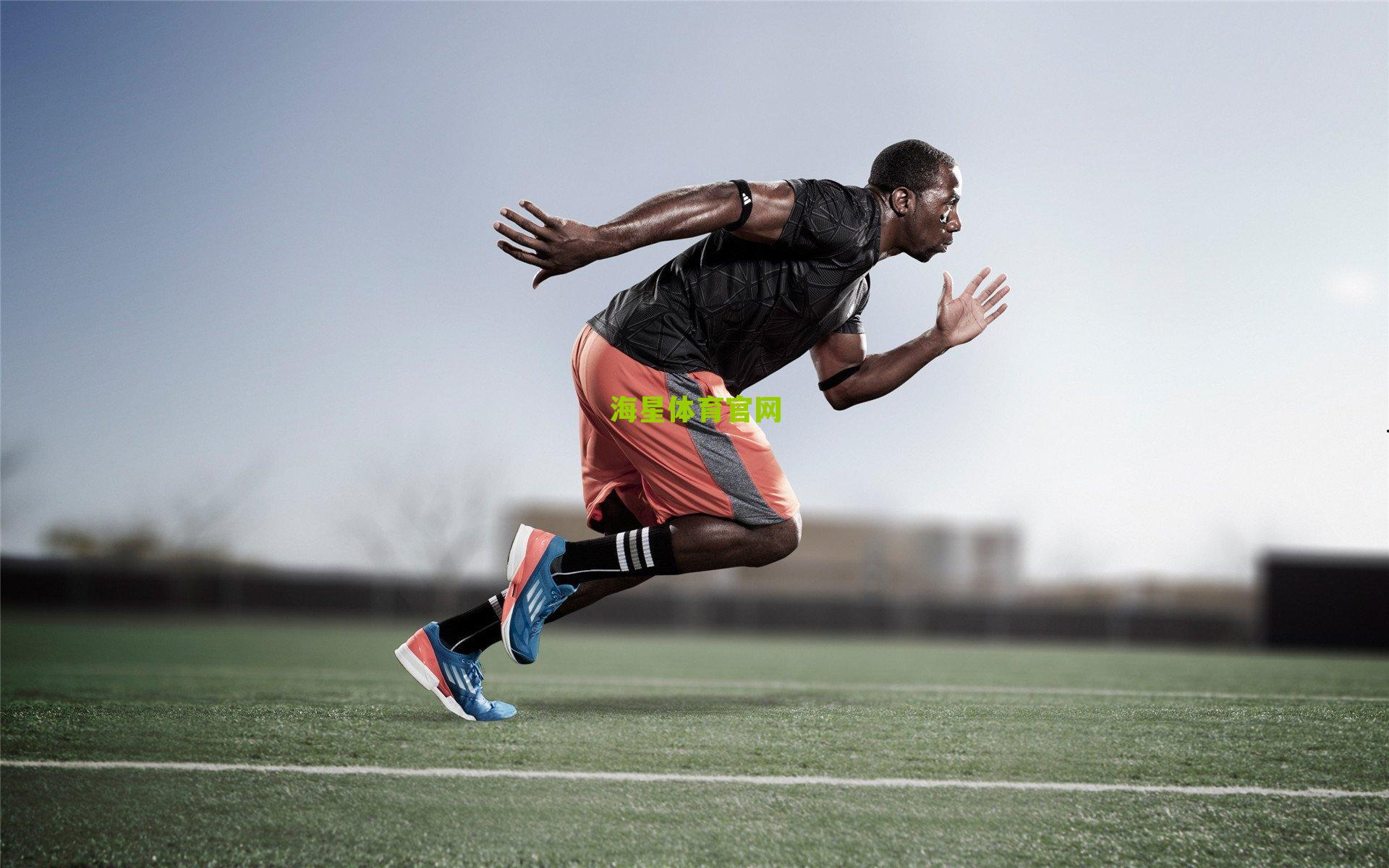 湖人传奇再创里程碑，詹姆斯正负值领跑联盟，斯马特与东契奇数据亮眼引热议